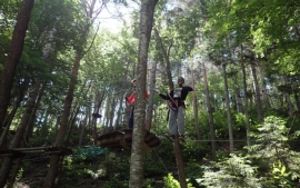 The enjoyable treetop adventure is a great confidence builder
