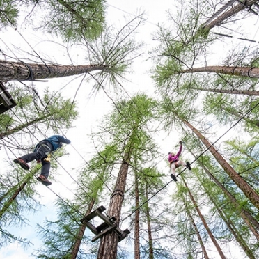 TREE TOP ADVENTURES