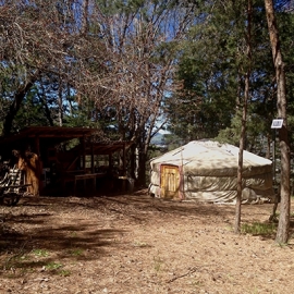 YURT LIVING