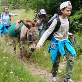 TREKKING WITH DONKEYS